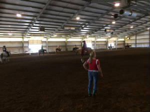 jasper_springs_arena.jpg